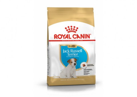 pu-jack-russel-packshot-bhn18