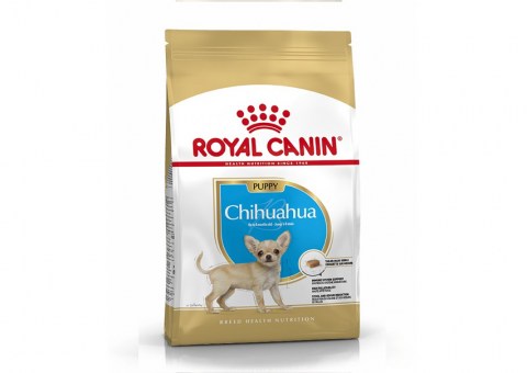 royal-canin-chihuahua-puppy
