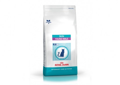 Royal Canin Skin Young Male